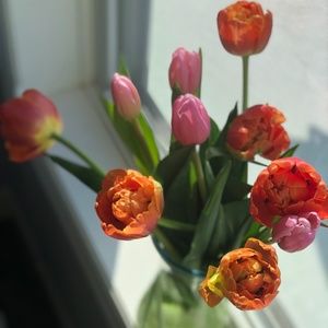 Meet your Posher, Abigail